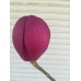 Магнолия  «Черный тюльпан» (Black Tulip)